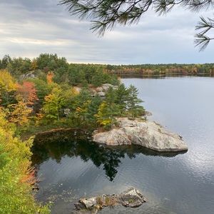 Meet your Posher, Leigh